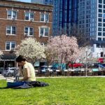 library green