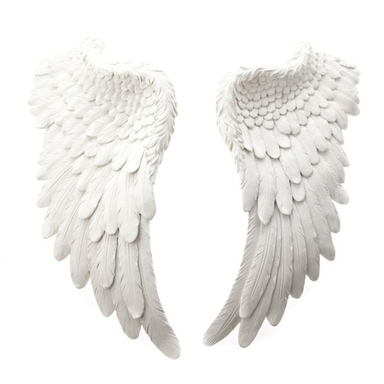 angel wings