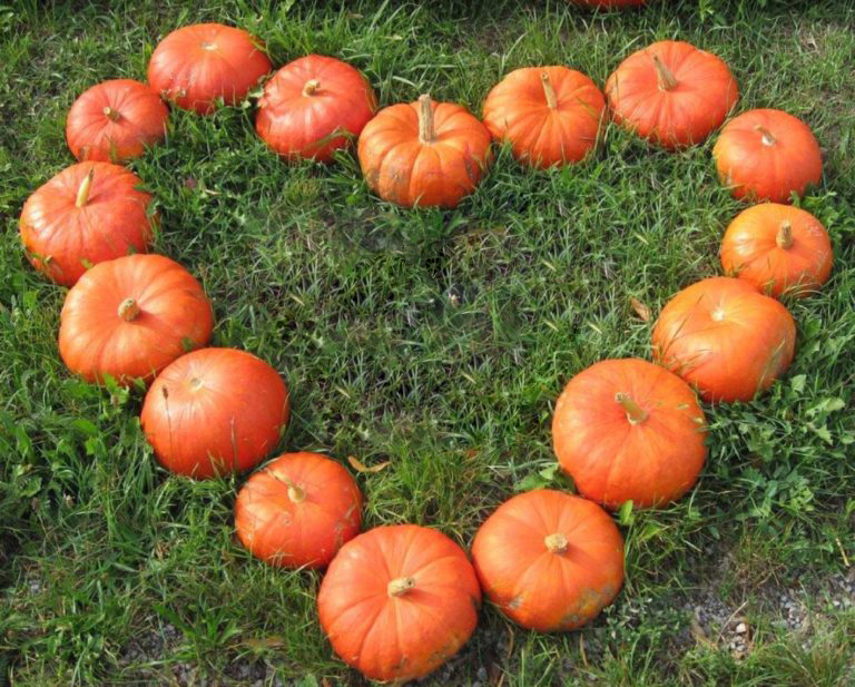 pumpkin heart