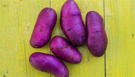 purple potatoes