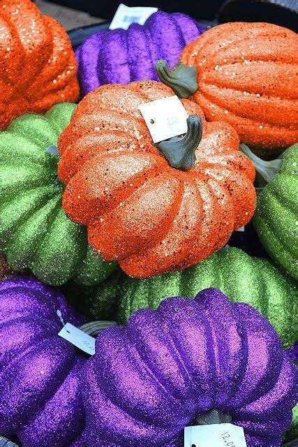 colorful pumpkins