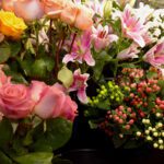 Enchanted Flowers