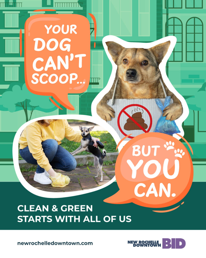yourdogcantscoop