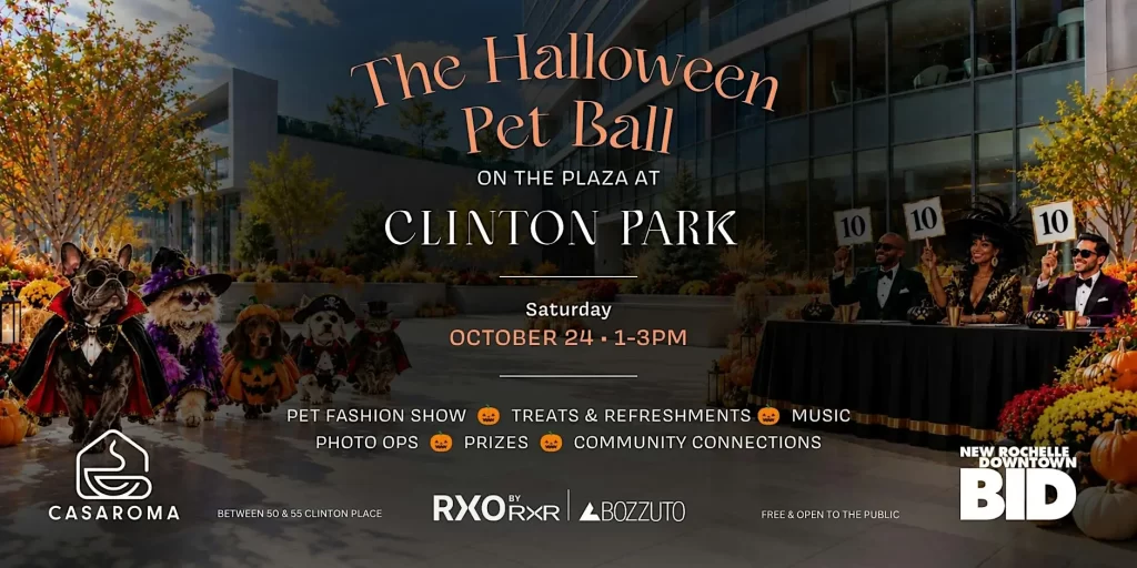 halloween pet ball